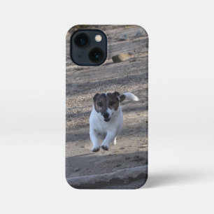 Funda Para iPhone 13 Mini Capo von Oppenheim, Jack Russell Terrier Dog