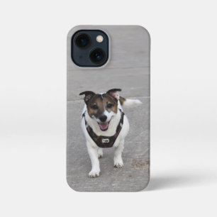 Funda Para iPhone 13 Mini Capo von Oppenheim, Jack Russell Terrier Dog
