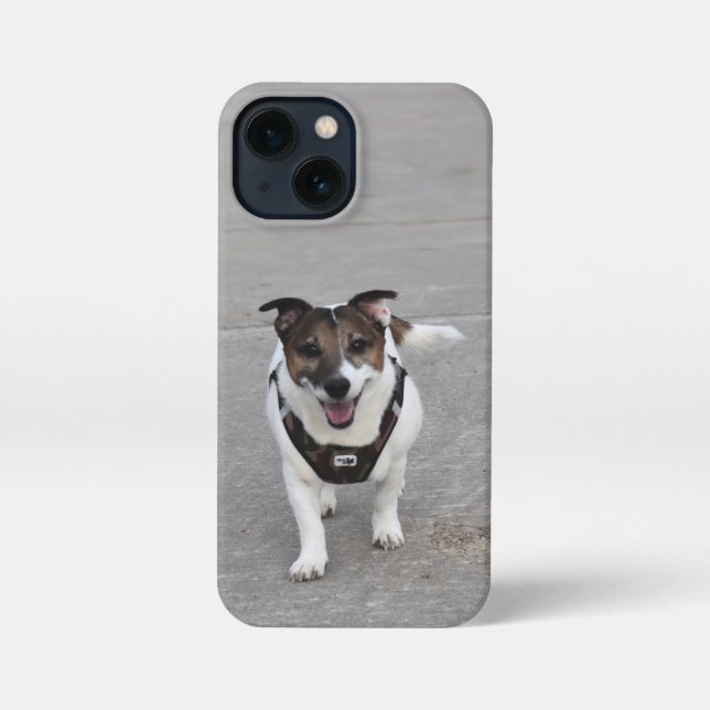 Funda Para iPhone Capo von Oppenheim, Jack Russell Terrier Dog (Reverso )