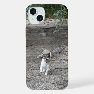 Capo von Oppenheim, Jack Russell Terrier Dog