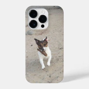 Funda Para iPhone 14 Pro Capo von Oppenheim, Jack Russell Terrier Dog