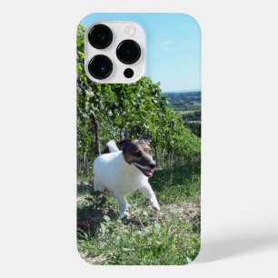 Funda Para iPhone 14 Pro Max Capo von Oppenheim Jack Russell Terrier, Perro
