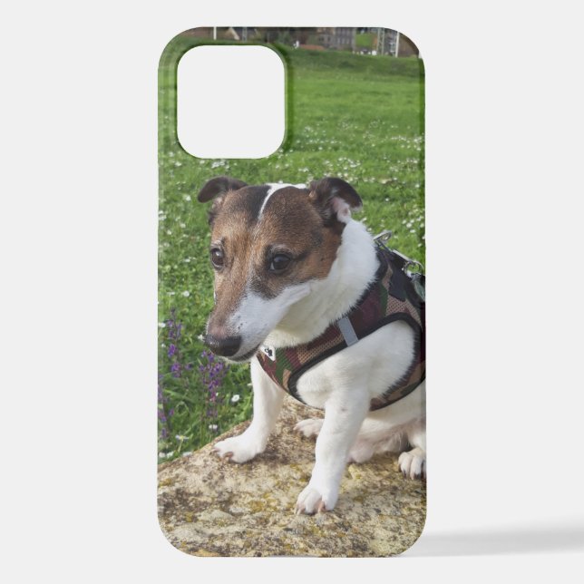 Funda Para iPhone Capo von Oppenheim Jack Russell Terrier, Perro (Reverso )