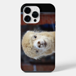 Funda Para iPhone 14 Pro Max Cara de alpaca linda        