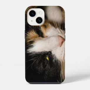 Funda Para iPhone 14 Cara de Calico