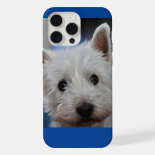 Cara de perro terrier blanco Westie Pestie linda