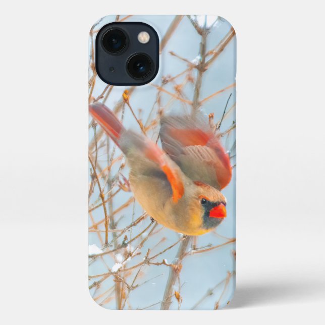 Funda Para iPhone Cardenal norte volando - Fotografía original (Reverso )