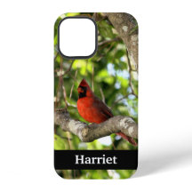 Cardenal Rojo en Árbol Personalizado