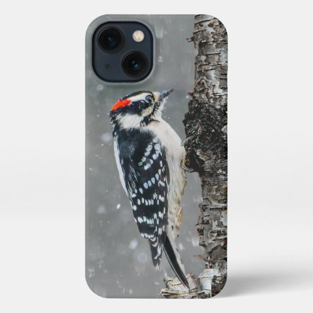 Funda Para iPhone Carpintero lechoso en nieve - Fotografía original (Reverso )