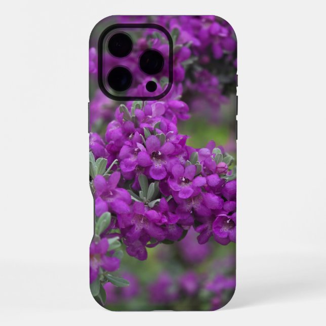 Funda Para iPhone Caso de Iphone de Texas Sage (Reverso )