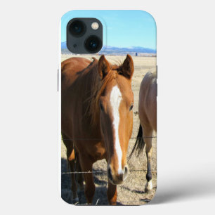 Casos de teléfono de caballo