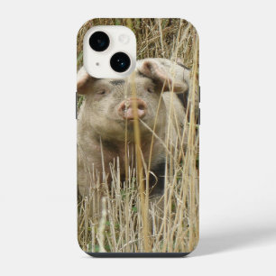 Funda Para iPhone 14 Cerdito Manchado Adorable
