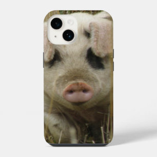Funda Para iPhone 14 Cerdo Adorable