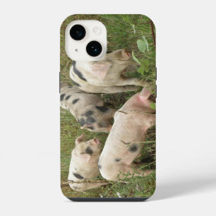 Funda Para iPhone 14 Cerdos en un Campo