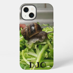 Cilantro y Caracol tus iniciales
