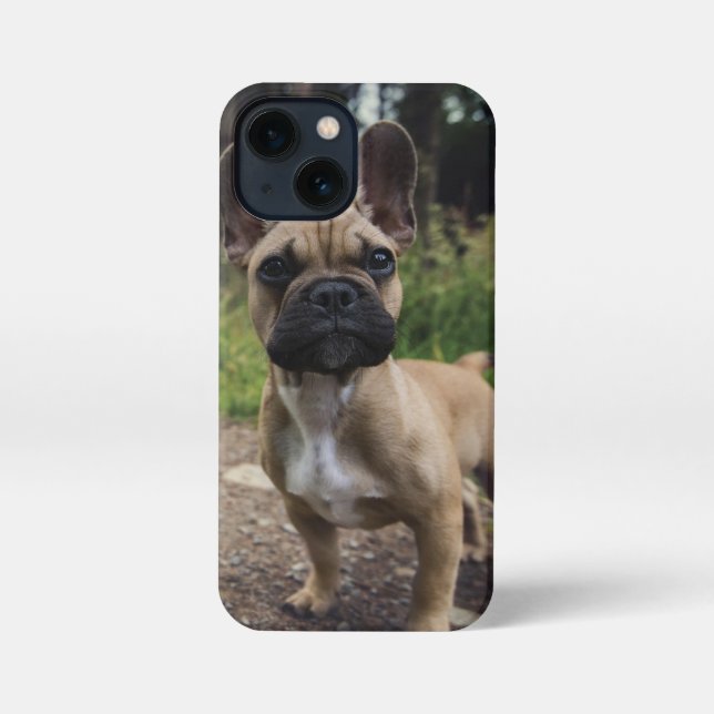Funda Para iPhone Cojín decorativo Bulldog francés (Reverso )