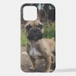 Funda Para iPhone 12 Cojín decorativo Bulldog francés
