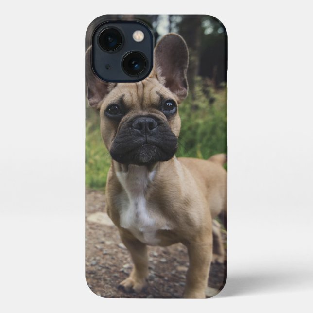 Funda Para iPhone Cojín decorativo Bulldog francés (Reverso )