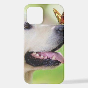 Funda Para iPhone 12 Cojín decorativo De Labrador Y Mariposa