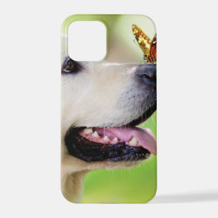 Funda Para iPhone 12 Pro Cojín decorativo De Labrador Y Mariposa