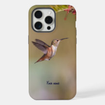 Colibrí de Allen