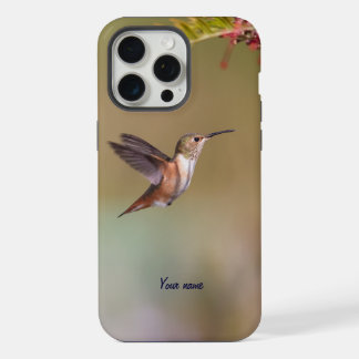 Colibrí de Allen
