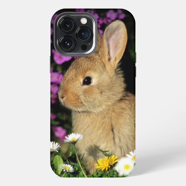 Funda Para iPhone Conejo (Reverso )