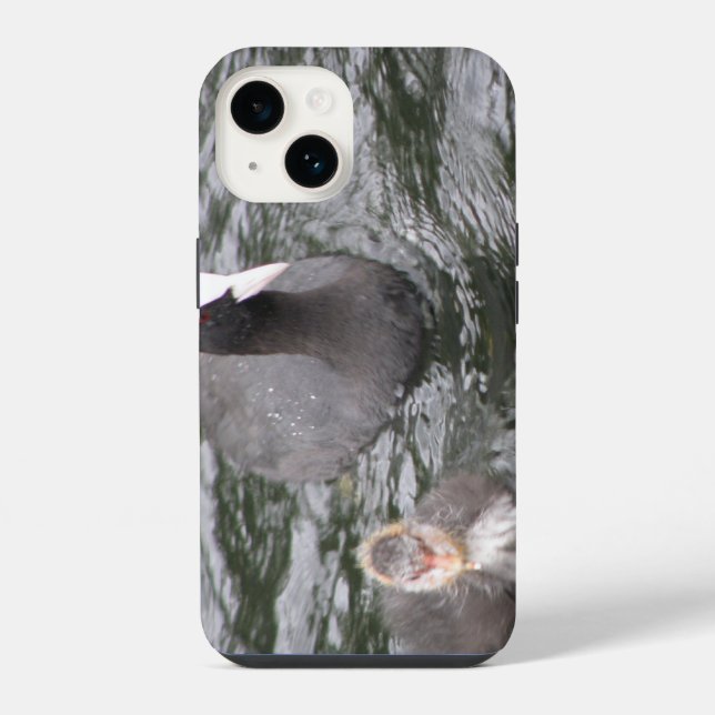 Funda Para iPhone Coot y pollo (Reverso )