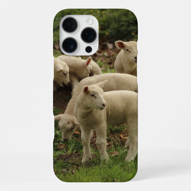 Funda Para iPhone Cordero  (Reverso )