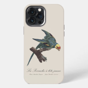 Funda Para iPhone 13 Pro Max Cotorra de Carolina, Conuropsis carolinensis
