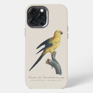 Funda Para iPhone 13 Pro Max Cotorra del Sol Joven o Aratinga solstitialis