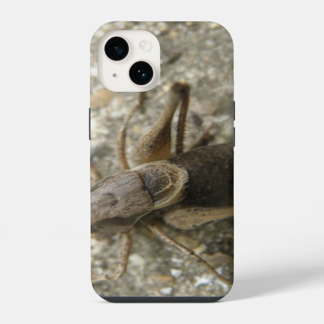 Funda Para iPhone Cricket de campo marrón (Reverso )