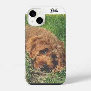 Funda Para iPhone 14 Cute Golden Doodle