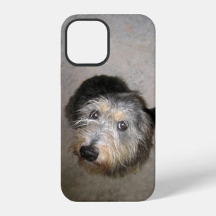 Funda Para iPhone 12 Cute perro funda de iPhone Case-Mate