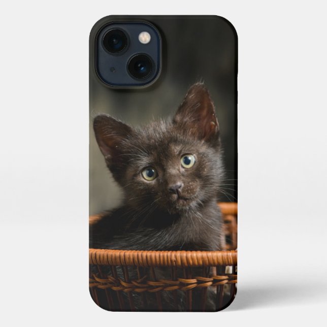 Funda Para iPhone Cutest Baby Animals | Kitten in Basket (Reverso )