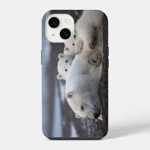 Funda Para iPhone 14 Cutest Baby Animals   Polar Bear Family Alaska