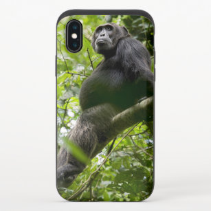 Funda Deslizante Para iPhone X Chimpancé relajándose en el árbol
