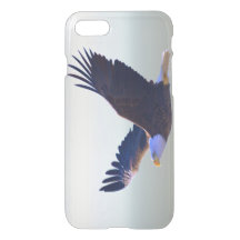 El volar de Eagle calvo