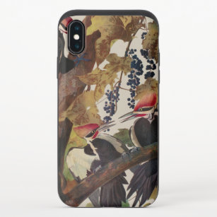 Funda Deslizante Para iPhone X Pintado de pájaro carpintero con basculante Audubo