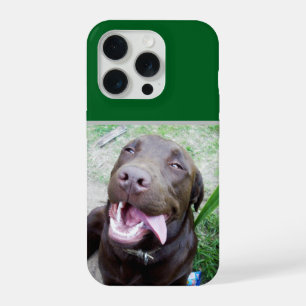 Delicias de Goofy: Cachorro Labrador Chocolate Mar