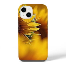 Desiertos en Flor