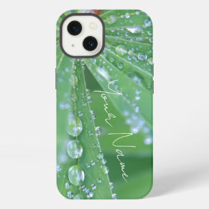 Dewdrop