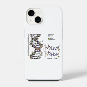 Funda Para iPhone 14 Diagrama de bases del ácido desoxirribonucleico de