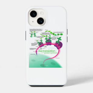 Funda Para iPhone 14 Diagrama de síntesis de proteínas de la traducción