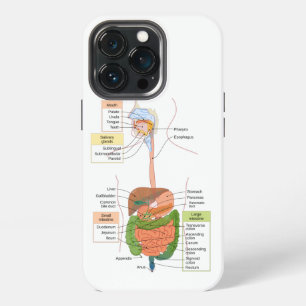 Funda Para iPhone 13 Pro Diagrama del sistema digestivo gastrointestinal hu