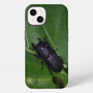 Dorcus parallelipipedus, el ciervo volante menor