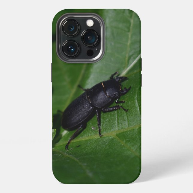 Funda Para iPhone Dorcus parallelipipedus, el ciervo volante menor (Reverso )