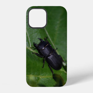 Funda Para iPhone 12 Dorcus parallelipipedus, el ciervo volante menor