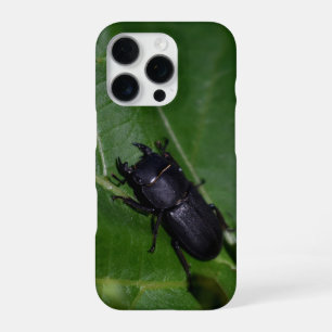 Funda Para iPhone 16 Pro Dorcus parallelipipedus , el escarabajo de menor t