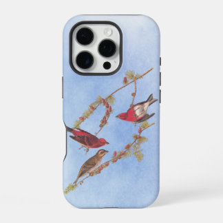 Funda Para iPhone 16 Pro El arte vintage de las aves rojas fincas de Audubo